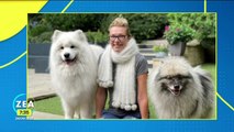 Mujer se hace una bufanda con el pelo de sus perros
