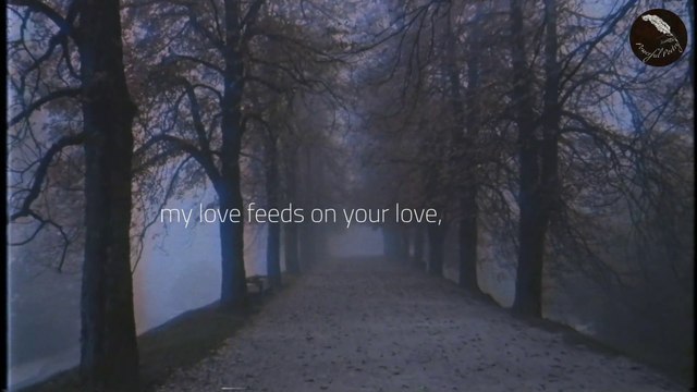 If You Forget Me by Pablo Neruda | Love Poem