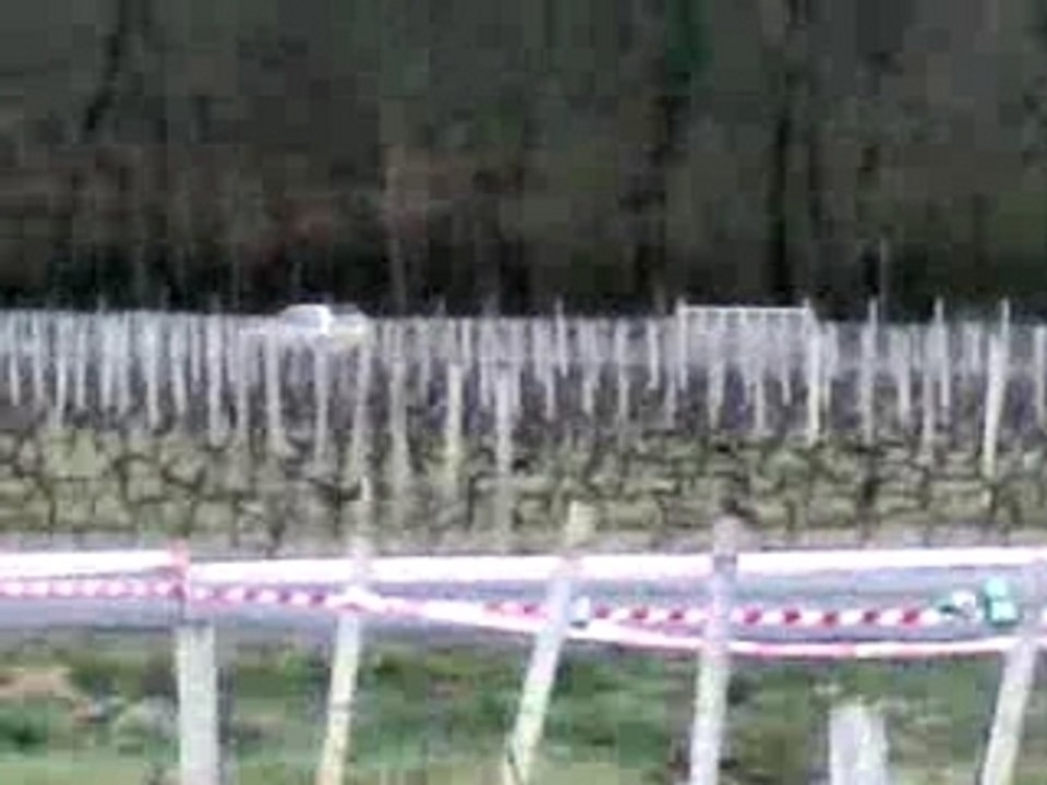 fougere 2008