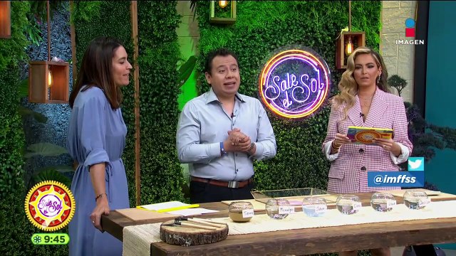 El mejor tipo de agua para tus plantas: Dr Planta