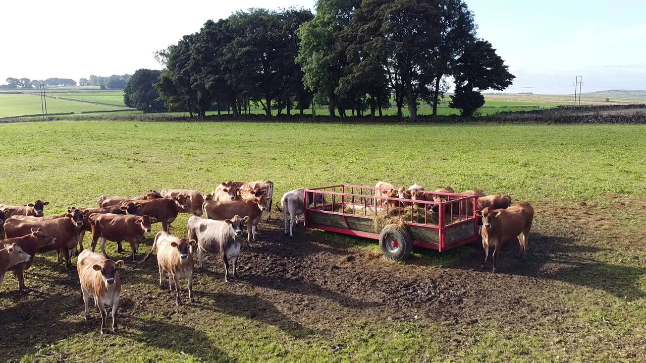 Βρετανία: Πετούν το γάλα λόγω έλλειψης οδηγών φορτηγών