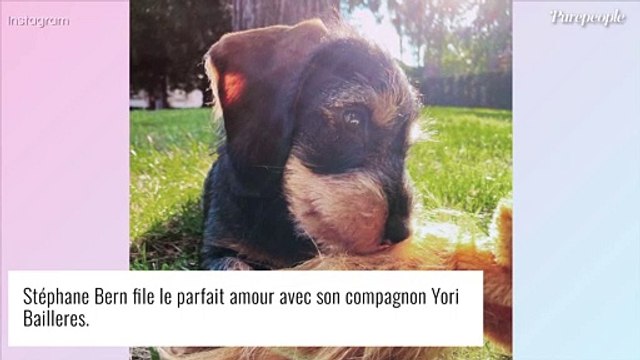 Stéphane Bern amoureux de Yori, de 20 ans son cadet : le couple adopte, la famille s'agrandit !