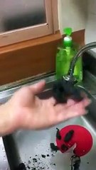 Bánh tráng giả đốt cháy khét, gặp nước không tan