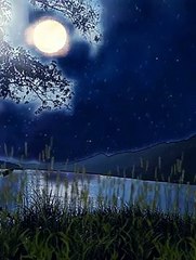 Musik Relaksasi #ketenangan