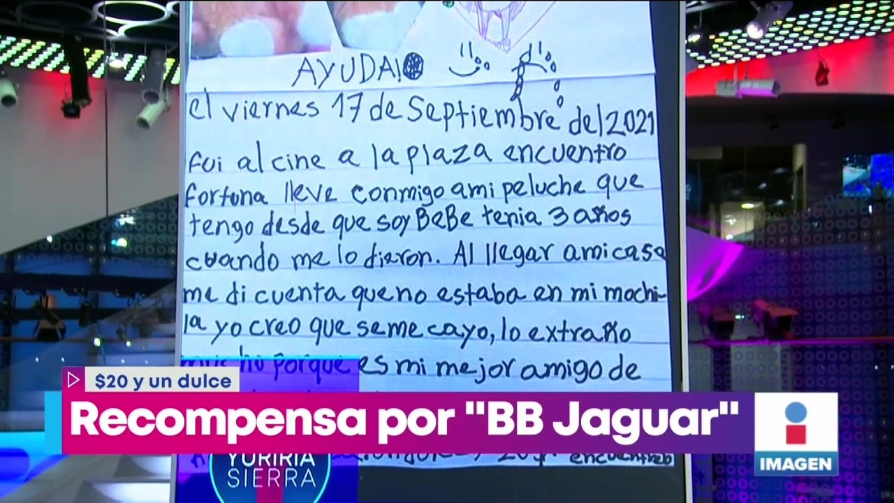 Pequeñita ofrece recompensa por su peluche que perdió en el centro comercial