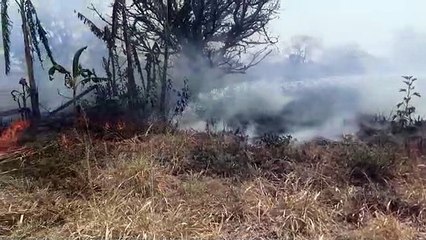 Corpo de Bombeiros do DF apaga incêndio de 27 mil m² ao lado do Colégio Gisno