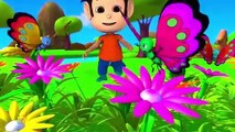 Rang Birangi Titli Pyari _ Hindi Kids Rhymes _ रंग बिरंगी तितली प्यारी _ Preschool Songs In Hindi