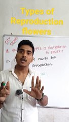 Types of Reproductive flower | Types of Reproductive flower in Hindi | Types of Reproductive flower biology #cityclasses