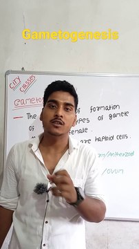 Gametogenesis | Gametogenesis in Hindi | Gametogenesis biology | what is Gametogenesis #cityclasses