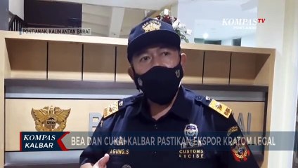 Ekspor Kratom Legal, Bea Cukai Imbau Eksportir tidak Khawatir