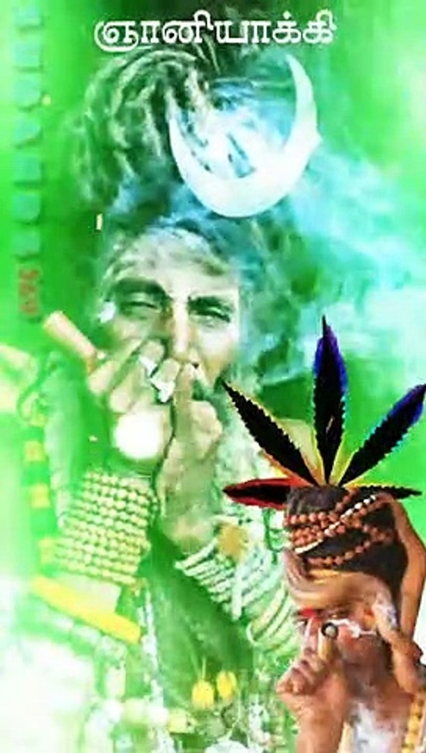 ⁣ganja song trending _skull_crossbones_️_beers__no_smoking__no_smoking_ whatsapp status_kissing_heart