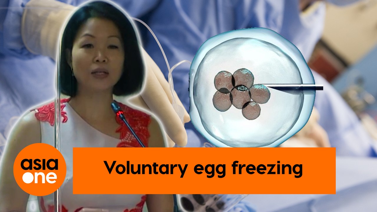 TLDR Voluntary egg freezing Is it time for a review? video Dailymotion