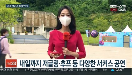 서울 서커스 축제 인기…국내외 공연 한자리에