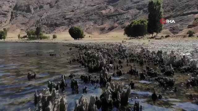 Son dakika haberleri | Van Gölü'nün suyu çekildi... Binlerce yıllık mikrobiyalitler gün yüzüne çıktı