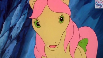 MIJN KLEINE PONY-DE GEVLUCHTE BLOEMEN