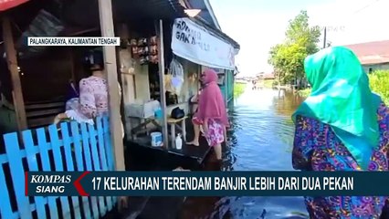 17 Kelurahan di Palangkaraya Terendam Banjir Lebih dari 2 Pekan