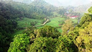 Aerial View of Beautiful Green Cropland