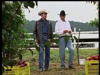 Meu Pecado Capítulo  38 Dublado