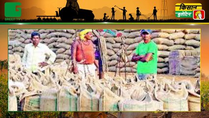 Government Announces ने 1 लाख किसानों को मुफ्त बिजली कनेक्शन देने का किया ऐलान, सरकार पर पड़ेगा 3 हजार करोड़ का भार