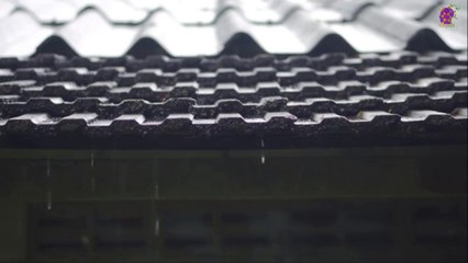 intro-logo-15-min-20210914-231545