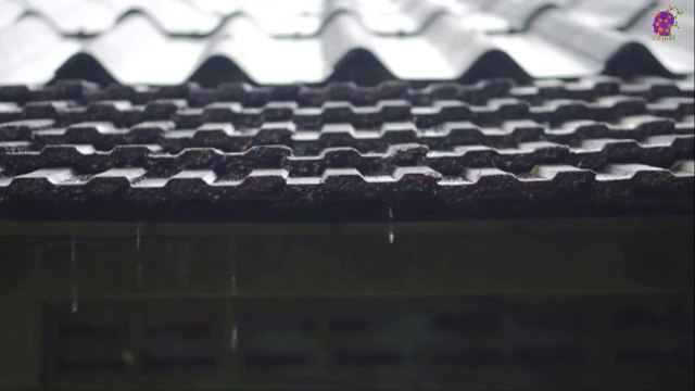 intro-logo-15-min-20210914-231545