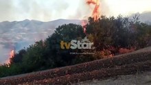 Φθιώτιδα: Μεγάλη φωτιά σε εξέλιξη - Στον αέρα και τα PZL