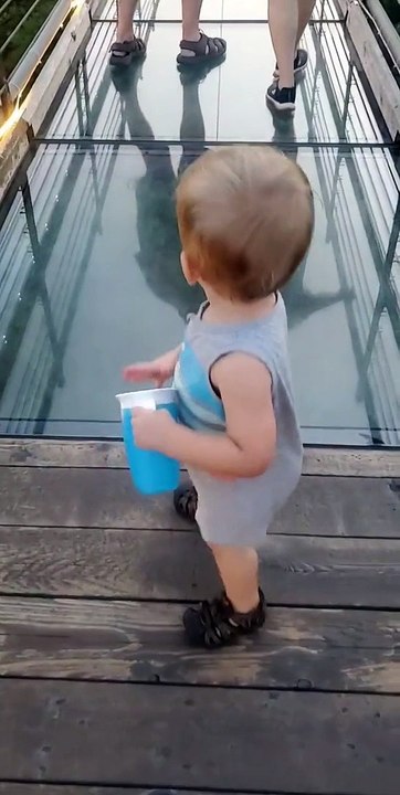 Toddler Attempts to Cross onto Glass Bridge