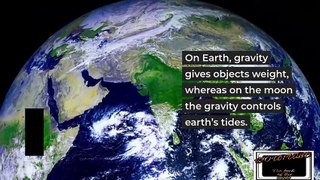 What is Gravity?