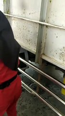 Asian gas station employee beauty hijab girl