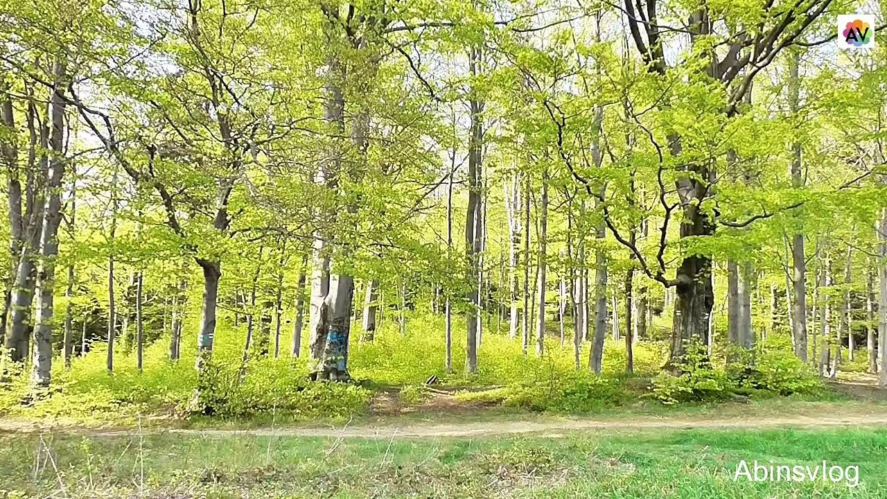 Amazing Nature | Beautiful Nature & Landscapes