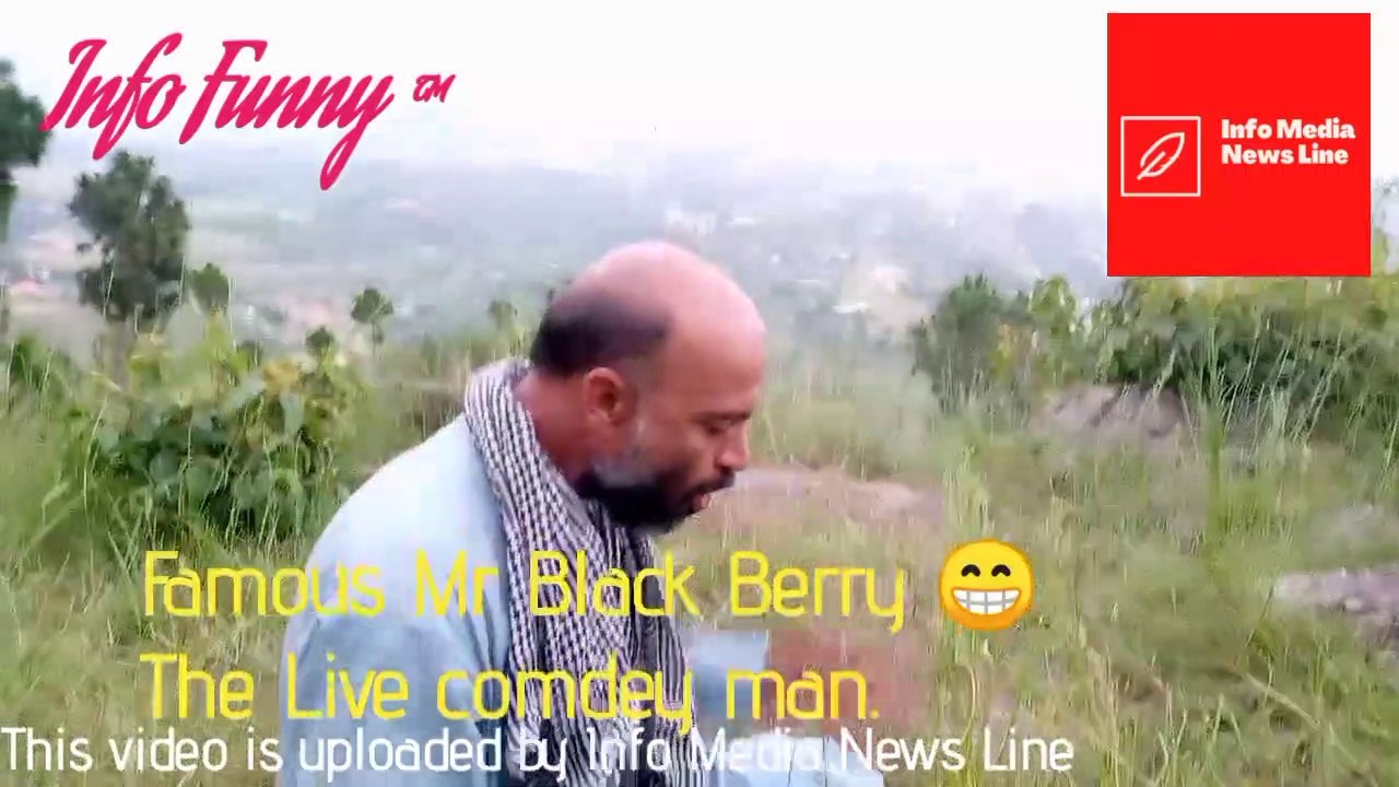 Mr Black Berry 