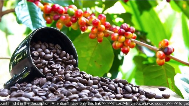 Java Burn Pros And Cons. Java Burn Questions