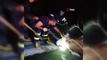 Son Dakika | Yangın söndürme havuzuna düşen ineği itfaiye ekipleri kurtardı