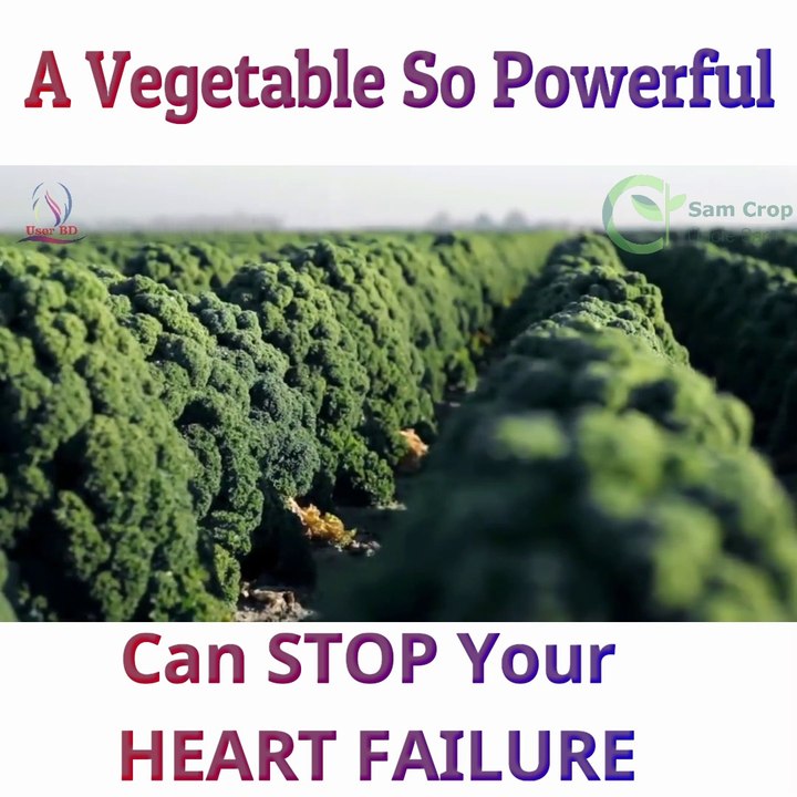 A Vegetable Can Prevent Heart Failure | Awesome Kale Cultivation