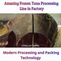 Frozen Tuna Processing Line in Factory - Tuna Processing and Packing