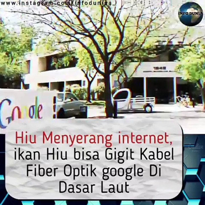 IKAN HIU MENYERANG KABEL INTERNET FIBER OPTIK