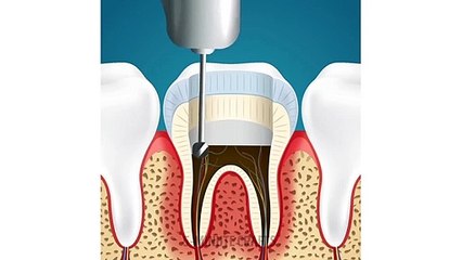 7 TEETH FACTS YOU HAD NO IDEA ABOUT