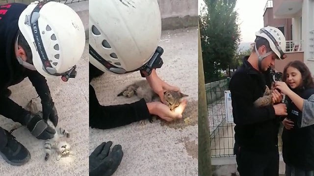 Kalbi duran kediyi hayata döndürmek için zamanla yarıştı