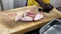 Amazing Sankara fish Cutting |Fastest Fish Cutting and Cleaning in Fish Shop _ Sankara Fish Cutting