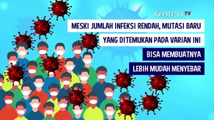 Download Video: Mengenal Varian R.1, Mutasi Baru Virus Corona, Seberapa Bahaya?