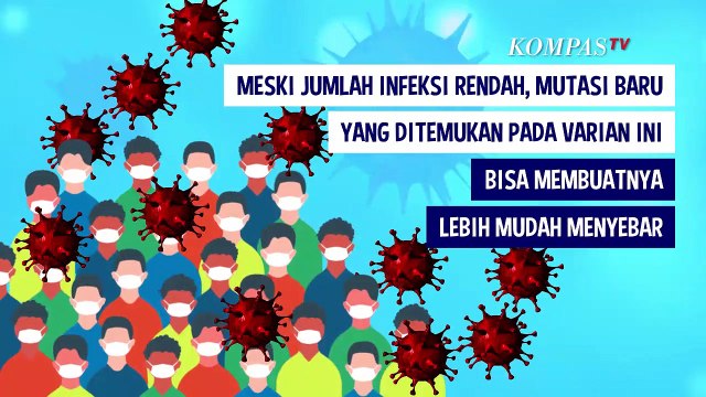 Mengenal Varian R.1, Mutasi Baru Virus Corona, Seberapa Bahaya?