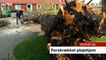 Orkanen Allan & Vejrsituationen i Syd & Sønderjylland | 3-5 | Sendt i 19.30 udsendelsen den 29 Oktober 2013 på TV SYD ~ TV2 Danmark