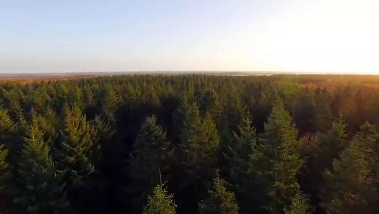 Relaxing Piano Music and Gently Falling Rain to Sleep, Focus, Study or Relax。 リラックスできるピアノ音楽と穏やかに降る雨が眠り、集中し、勉強し、リラックスします