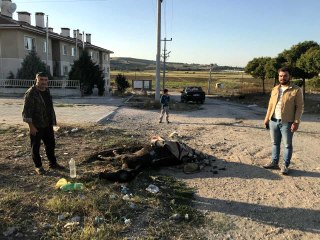 Yaralı atı ölüme terk ettiler