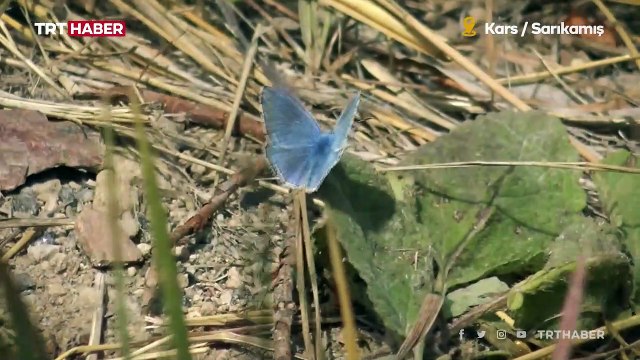Kars sonbaharla birlikte güzelliğe büründü