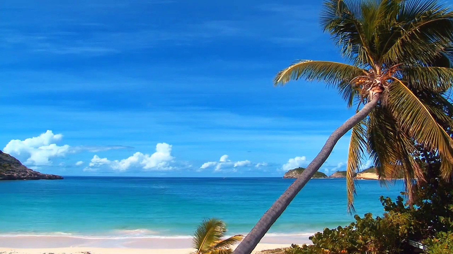 Music for Meditation _ Music for Therapy _ Relaxing Music.