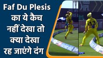 IPL 2020 CSK vs KKR: Faf Du Plesis takes amazing catch at boundary line | वनइंडिया हिंदी
