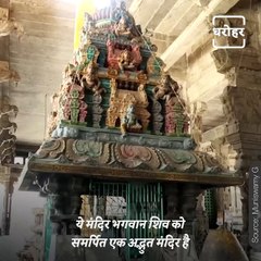 Know This Interesting Story Related To Ekambareswarar Temple Of Kanchipuram