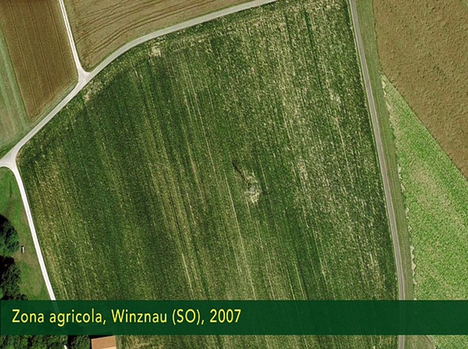 Winznau