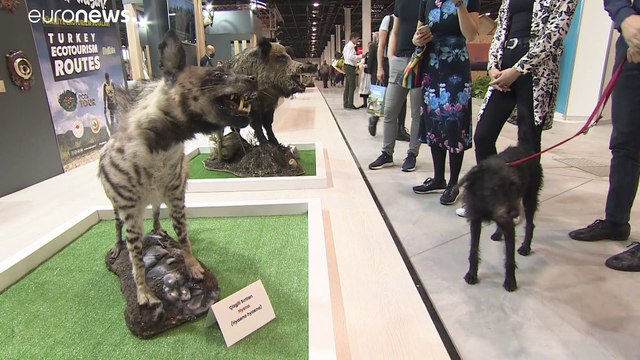 Открылась Всемирная охотничья выставка